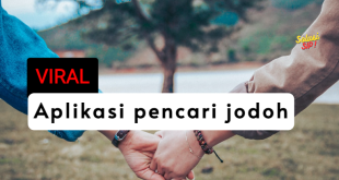 applikasi pencari jodoh