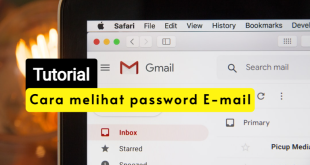 cara melihat pw email