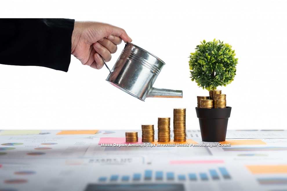 Masa Depan Aman, 5 Tips Investasi Untuk Pemula Agar Cuan!