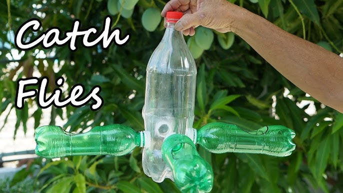 DIY Fly Trap Dengan Cuka Apel & Plastik Untuk Menangkap Serangga